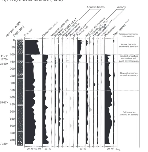 Figure 8.  Calibrated ages, sediment description, percentage palynomorph diagrams and paleoenvironmental interpretation from (A) Arroyo Solís Grande (Mourelle et al