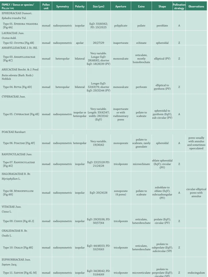 Table 3.  Morphological descriptions of pollen from the campos region of Uruguay. PV: polar view; EqV: equatorial view