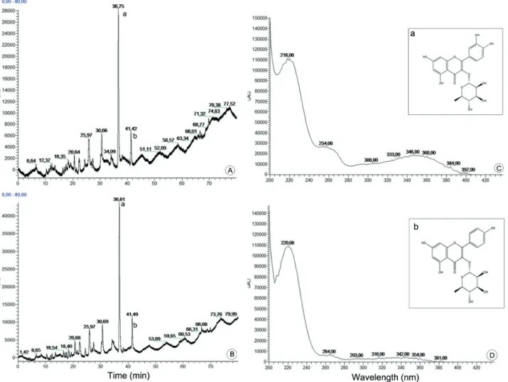 Figure 2 .  Th e high performance liquid chromatography-photo diode array detector (HPLC-PAD) analytical chromatogram of 100 