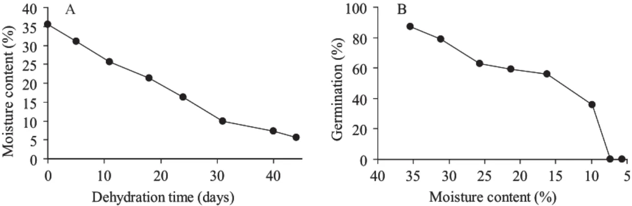 FIGURE 1. Dehydration time course (A) and germination (normal seedlings) of Eugenia pleurantha seeds with different  moisture contents (B).