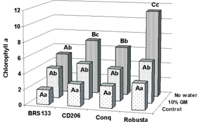 FIGURE  3.  Chlorophyll  a  contents  (mg.g -1 )  in  soybean  seeds  of  the  cultivars  BRS  133,  CD  206,  Conquista  and  Robusta,  produced  under  water stress (control, 10% GM and no water)  and  heat  stress  (28°C  to  36°C)