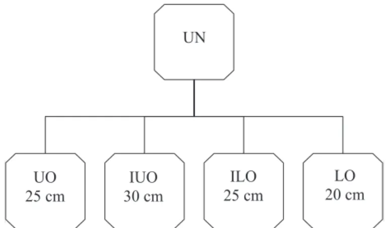 Figure 1. Classification of castor bean seeds on a densimetric  table  for  uncleaned  (UN);  upper  output  (UO); 