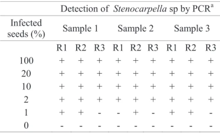 Figure 2. Minimum level of the detection of genomic DNA of   Stenocarpella maydis used with the pair of primers   P1/P2