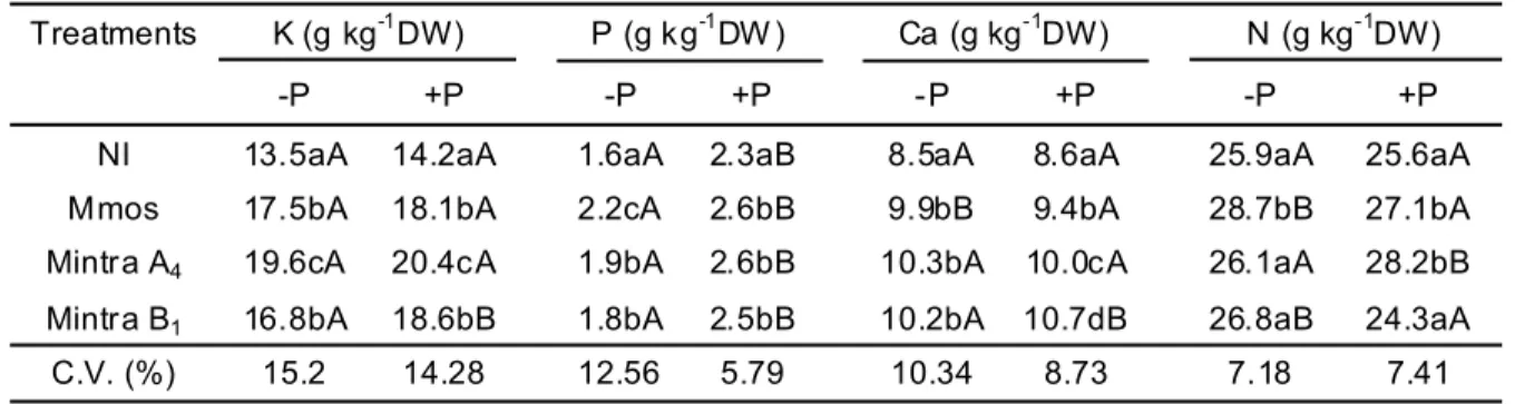 TABLE 3. Mineral ion content in shoots of  Mentha piperita plants (g kg -1 DW), non-inoculated (NI) or inoculated with Glomus mosseae  (Mmos), Glomus intraradices A 4  (MintrA 4 ) and Glomus intraradices B 1  (MintraB 1 ) with two P levels (-P: 10 mg P kg 