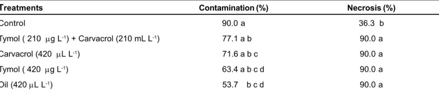 TABLE 1. Percentage of contamination and necrosis of caulinary shoots of Heliconia psittacorum x Heliconia spathocircinata var
