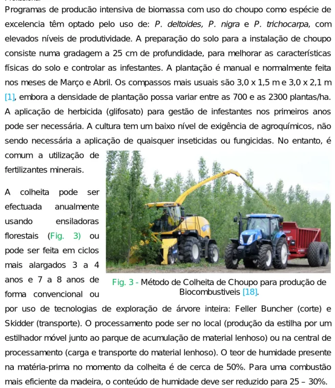 Fig. 3 - Método de Colheita de Choupo para produção de  Biocombustiveis [18]. 