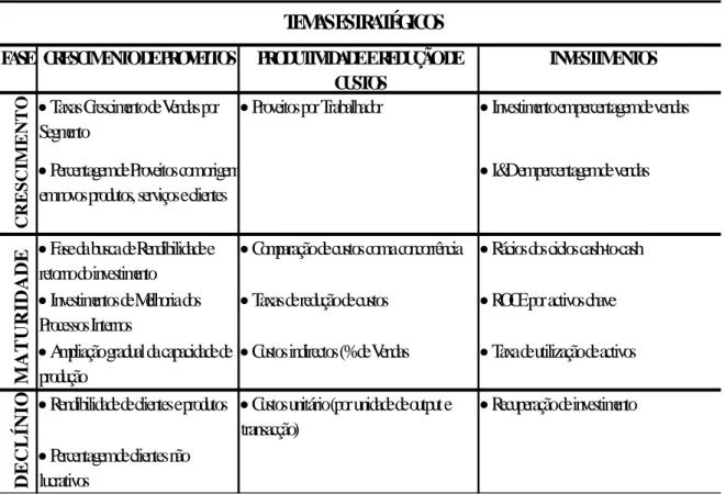 Fig. 2 – Temas Estratégicos, Adaptado de Kaplan e Norton (1996) 