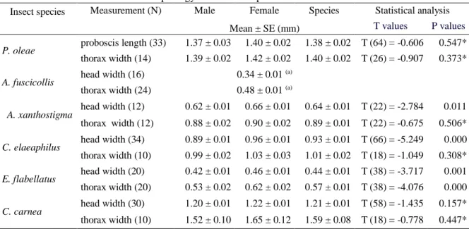 Table 4.2 Measurements of insect morphology of the insect species studied. 