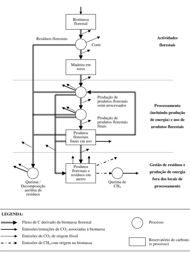Figura 1 - Processos, reservatórios de carbono e emissões de GEE no sector florestal (Dias, 2005) Uma pequena parte do carbono contido na biomassa florestal também pode ser emitida na forma de  compostos orgânicos voláteis (COVs) e monóxido de carbono (CO)