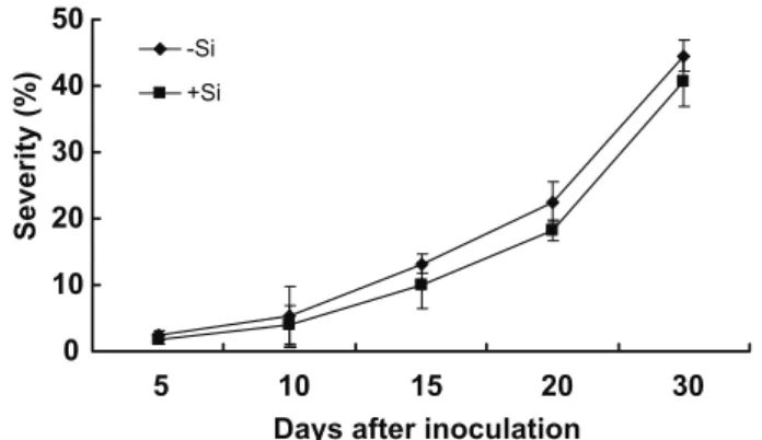 FIGURE  1  - Progress of rust on leaves of coffee plants grown  in hydroponic culture containing 0 (-Si) or 2 (+Si) mM silicon