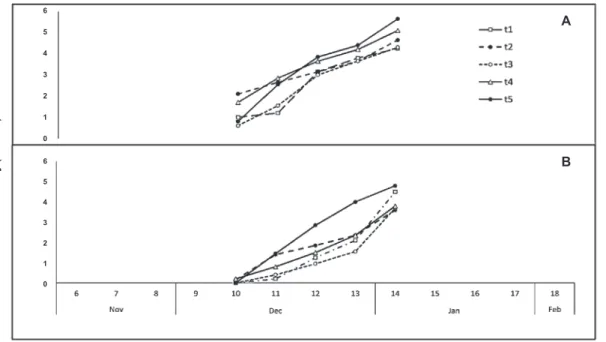 FIGURE  2  -  C o l l e t o t r i c h u m  g l o e o s p o r i o i d e s  temporal  progress  curves  on  flowers  ( A )  and  vegetative  shoots ( B ) of mango  (Mangifera  indica)  during  one  floral  flushing  in  five  treatments  in  the  commercial 