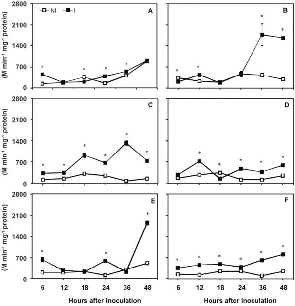 FIGURE 1 -  Peroxidase (POX) activity in leaf tissue of rice plants grown in hydroponic culture in the absence  ( A, C,  and  E ) or presence (B, D, and F) of silicon (Si) at the rates of 0.5 ( A  and  B ), 2.5 ( C  and  D ) and 10  µmol Mn L -1  (E and F)