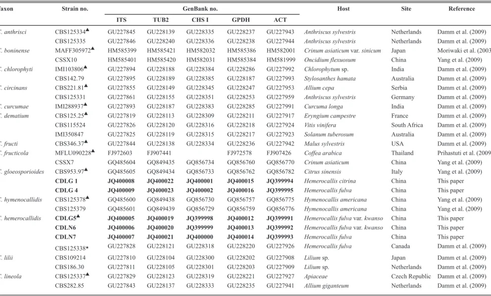 TABLE 1 -  Sources of strains of Colletotrichum spp. with GenBank accession numbers used in this study