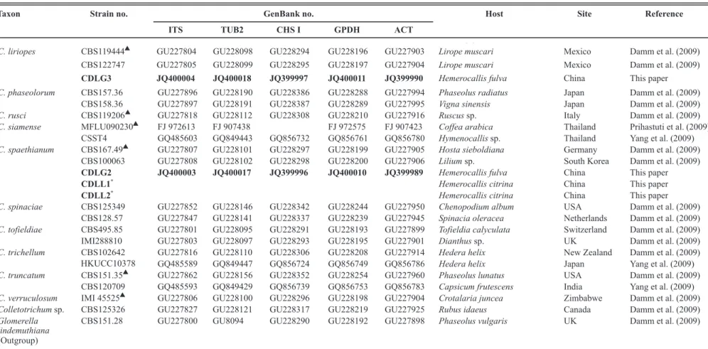 TABLE 1 - Sources of strains of Colletotrichum spp. with GenBank accession numbers used in this study
