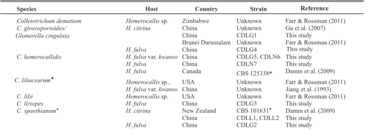 TABLE 2 - Colletotrichum species known from Hemerocallis spp. 