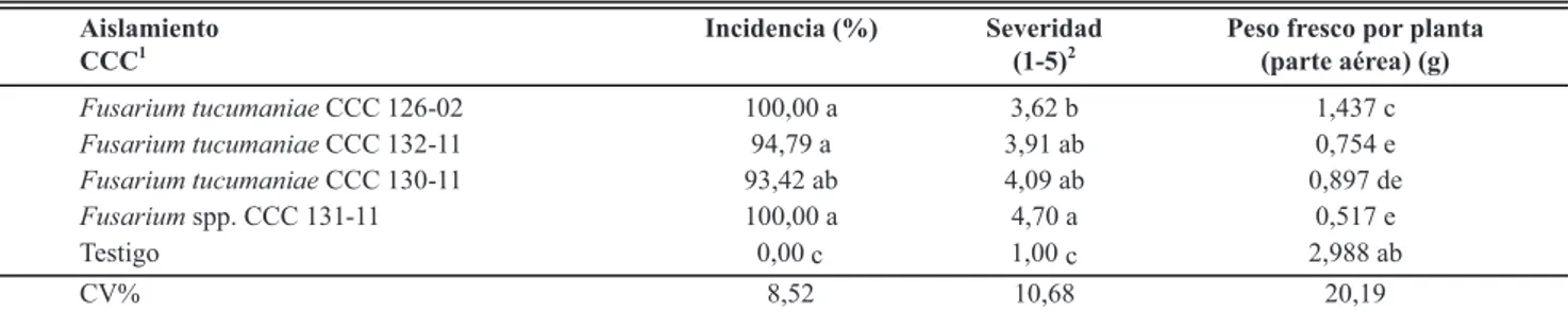 TABLA 1 -  Valores de incidencia y severidad foliar del síndrome de la muerte súbita y peso fresco de la parte aérea por planta, registrados  en el cv