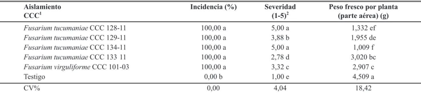 TABLA 2 -  Valores de incidencia y severidad foliar del síndrome de la muerte súbita y peso fresco de la parte aérea por planta, registrados  en el cv