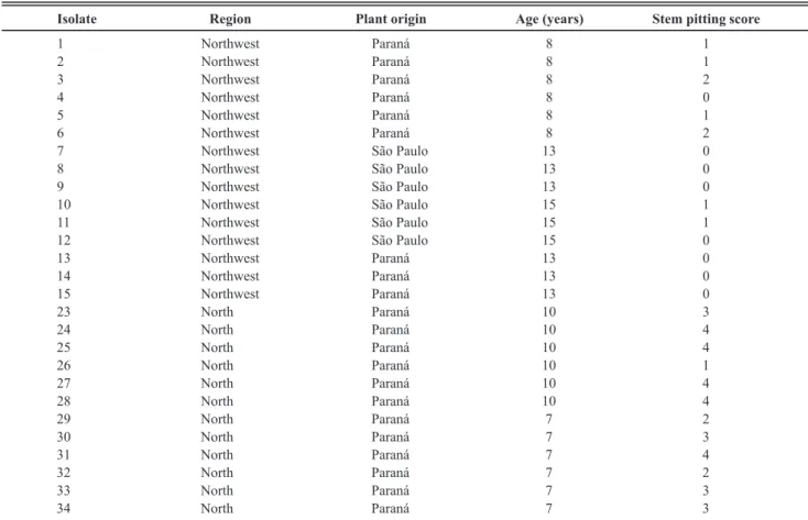 TABLE 1 - Sites of sample collection of Pera sweet orange (C. sinensis L. Osb.) for evaluation of symptom severity of characterization of  Citrus tristeza virus isolates in orchards from the northern and northwestern regions of the state of Paraná, Brazil