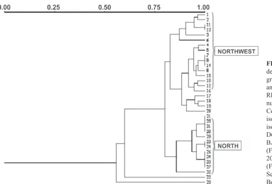 FIGURE  1  -  Representative  dendrogram  of  the  CTV  isolates  grouping  from  differents  plants  and  controls  determinated  by  RFLP analysis of the coat protein  nucleotide  sequences  (Jaccard  Coefficient)