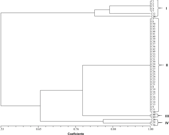 FIGURA 6 -  Dendrograma UPGMA generado a partir del análisis de RAPDs con cinco cebadores en una población de 50  aislamientos de Colletotrichum gloeosporioides obtenidos de palma aceitera en Venezuela