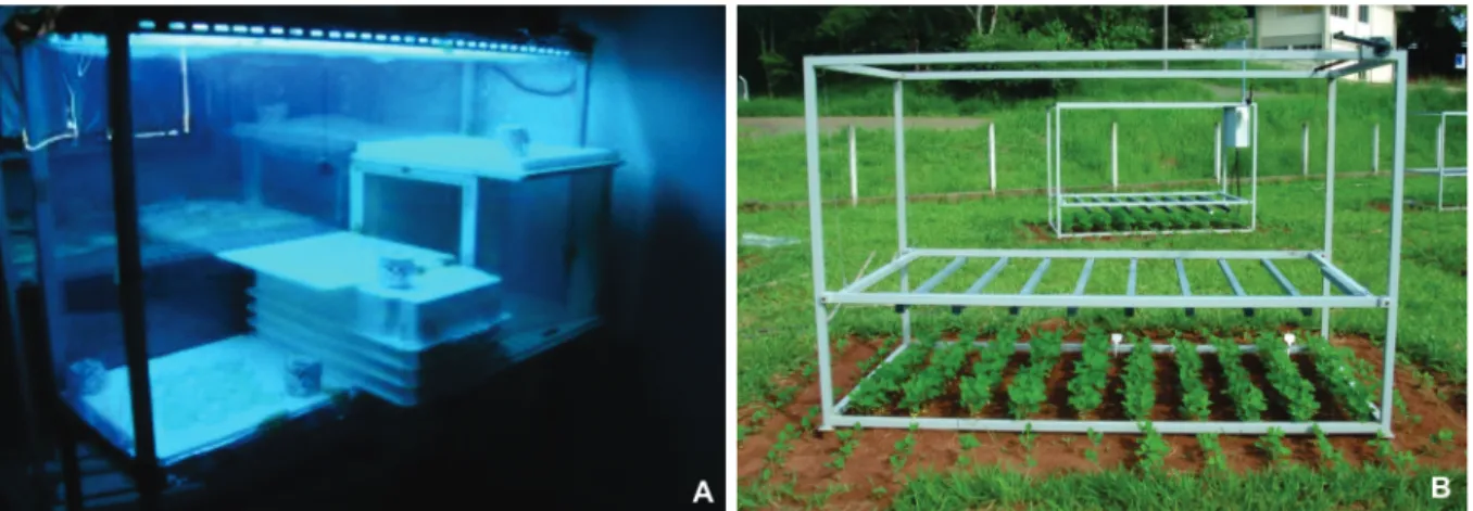FIGURE  6  - A.  Laboratory  and  B.   field  facilities to  study  the  effects  of  increased  UV-B  radiation  on  plant  diseases  and  biological control agents (Jaguariúna SP, Brazil).