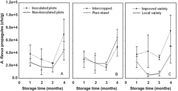 FIGURE  3  - A.  Dynamics of  Aspergillus flavus propagules (cfu/g) of the maize kernels during four months of  storage depending on inoculation;  B