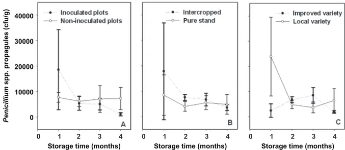 FIGURE 6 - A.  Dynamics of Penicillium spp. propagules (cfu/g) of maize kernels during four months of storage depending  on inoculation;  B