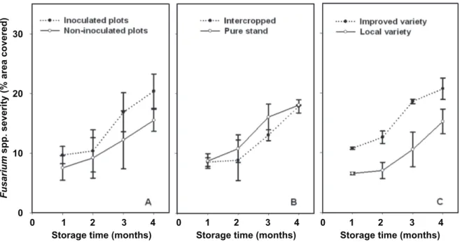 FIGURE 7 - A.  Progress curves of Fusarium spp. colonization of maize cobs (% area covered) during four months of  storage depending on inoculation;  B