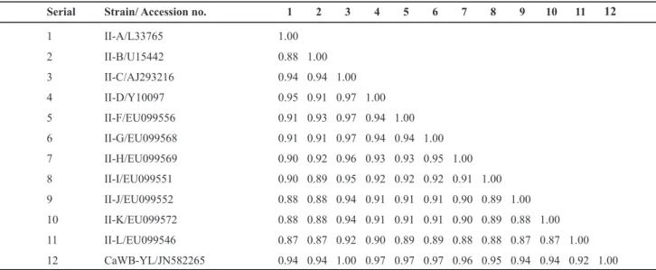 TABLE 1 – Similarity coefficients derived from analysis of virtual RFLP patterns of 16S rDNA  R16F2n/R16R2 region from CaWB-YL  and representative strains in 16SrII subgroups (A/B/C/D/E/F/G/H/I/J/K/L)