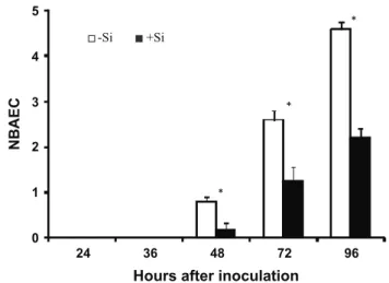 FIGURE  2  -  Differential  interference  contrast  microscopy  of  cleared  epidermal  cells  on  leaves  of  wheat  plants  grown  in  hydroponic culture containing 0 mM (-Si) ( A ) or 2 mM (+Si) of  silicon ( B ) at 72 hours after inoculation with  Pyri