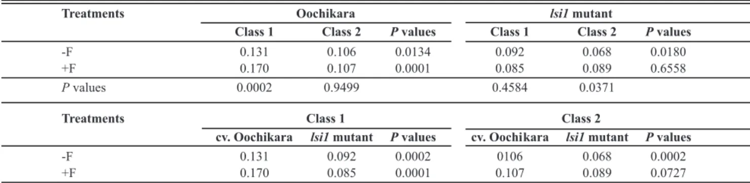 TABLE 6 - Dry matter (mg of 10 seedlings) of rice seedlings at 22 days after sowing seeds obtained from panicles of cv