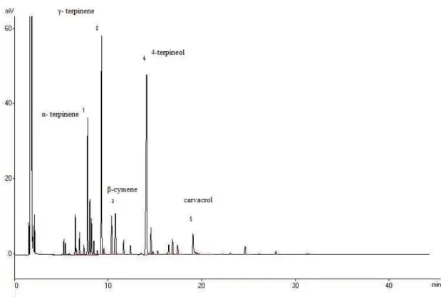 FIGURE 1. Chromatogram of the essential oil from O. vulgare.