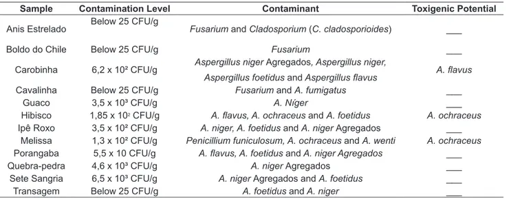 FIGURE 1. Occurrence frequency of fungal microbiota of all medicinal plants.