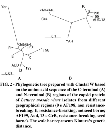 FIG. 3 - Multiple sequence alignment of the amino acid sequences from the N-terminal region of the capsid protein of  Lettuce mosaic virus  isolates from different geographical regions used for construction of the phylogenetic tree shown on Figure 2B
