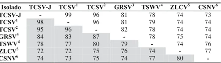 TABELA 1 -  Comparação (homologia em porcentagem) entre as seqüências de nucleotídeos (acima da diagonal) e aminoácidos deduzidos (abaixo da diagonal, em cinza) da capa protéica do Tomato chlorotic spot virus, isolado de jiló (Solanum gilo) - TCSV-J (códig