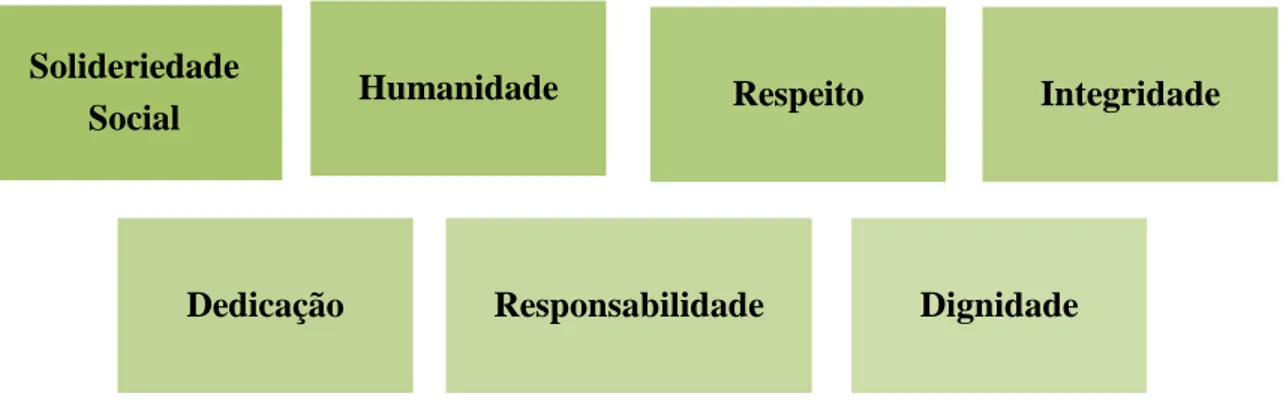 Figura 1- Valores da FEFA  Fonte: Código de ética e Conduta (2015) 