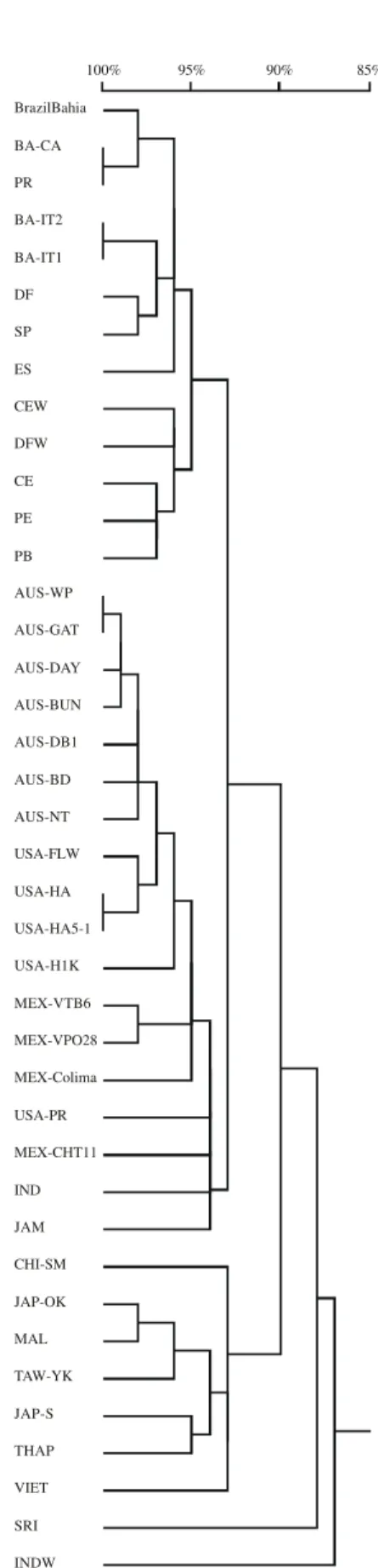 FIG. 1 - Homology tree for the  cp gene from 13  Papaya ringspot virus (PRSV) Brazilian isolates and 27 additional isolates from diverse world locations.