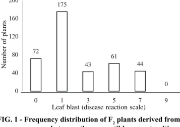 FIG. 1 - Frequency distribution of F 2  plants derived from a cross between the susceptible parent cultivar Araguaia and the resistant somaclone SC09, according to leaf blast ratings in artificial inoculation test with the race IB-45 of Pyricularia grisea 