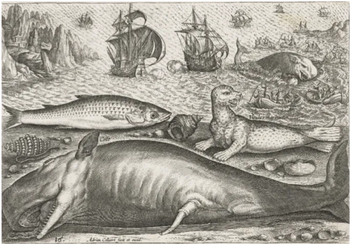 Figure 2. A depiction of marine animals, in this case sperm whales, a seal and other marine animals in the Atlantic, that  illustrates the visual sources available to address early modern marine environmental history