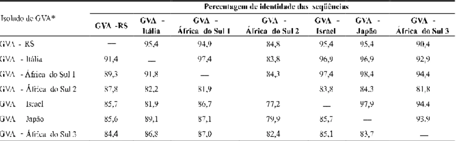 TABELA 1 - Comparação (identidade em percentagem) das seqüências de nucleotídeos (abaixo da diagonal) e de aminoácidos deduzidos (acima da diagonal) do gene da proteína capsidial do Grapevine virus A, isolado RS, com seqüências de outros isolados do mesmo 