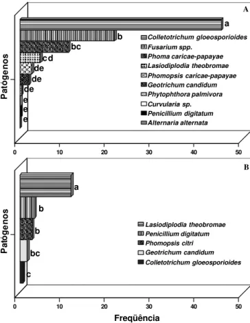 FIG. 2 - Freqüência de patógenos fúngicos em frutos de mamão (Carica papaya) (A) e laranja (B) na Central de Abastecimento do Recife, Estado de Pernambuco, Brasil