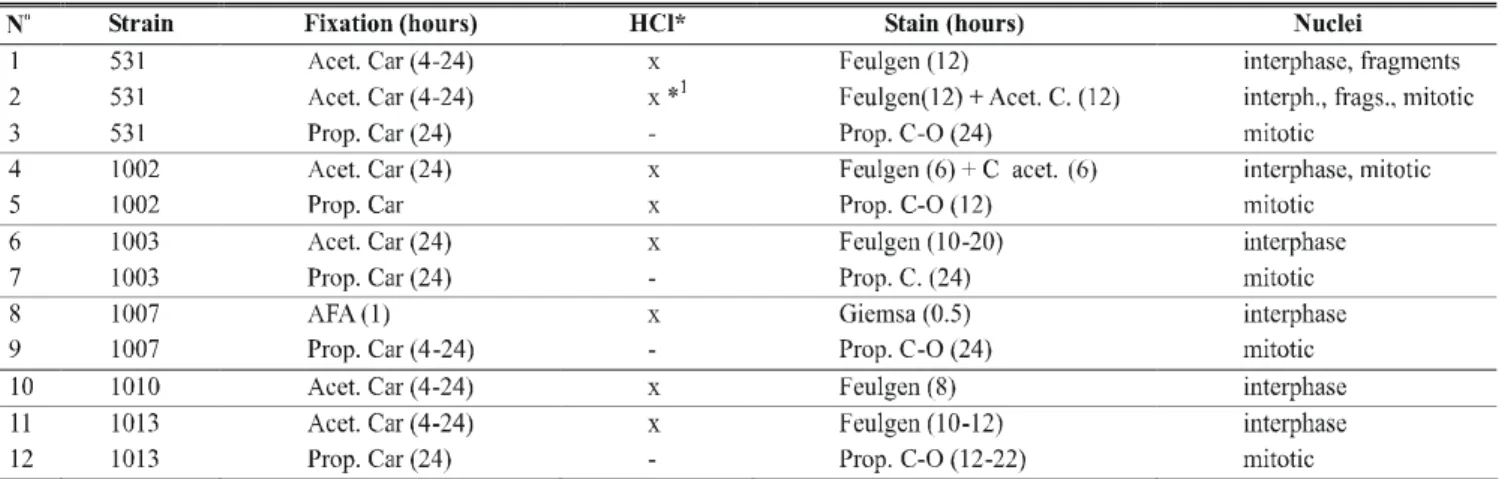 FIG. 1 - Proliferation of perithecia in culture media of Colletotrichum lindemuthianum  (Glomerella cingulata f