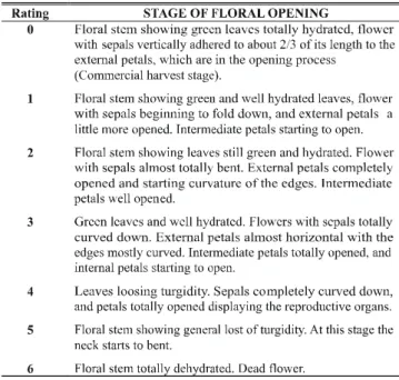 TABLE 1 - Scale of ratings showing the descriptions of the successive stages of floral opening