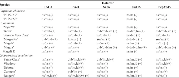 TABLE 1 - Host range and symptom expression of the studied isolates in different pepper (Capsicum annuum) and tomato ( Lycopersicon esculentum) genotypes