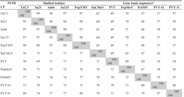 TABLE 2 - Identity (%) of the 3’-UTR nucleotide sequence (above the diagonal line) and coat protein amino acid sequence (below the diagonal line), among the studied isolates and the closest potyvirus species