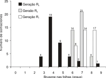 TABELA 1 - Reação de somaclones R 6  de arroz (Oryza sativa) CICA- CICA-8 e da cultivar CICA-CICA-8 para cinco isolados de Pyricularia grisea sob condições artificiais de inoculação em casa de vegetação