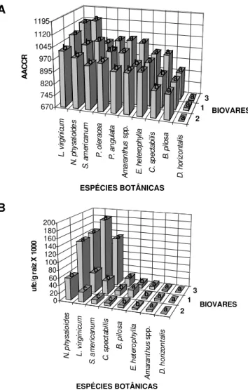 FIG. 1 - Análise conjunta da colonização de raízes de plantas daninhas por Ralstonia solanacearum das biovares 1, 2, e 3: (A) comparação de médias de área abaixo da curva de colonização de raízes (AACCR) por espécie botânica (Amaranthus  spp., Bidens pilos