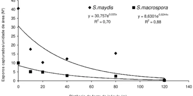 FIG. 3 - Relação entre o número de conídios de Stenocarpella maydis e S. macrospora, coletados por unidade de área (768 mm 2 ), e a função da distância da fonte de inóculo, durante o período de 12 de maio a 30 de junho, em 1996