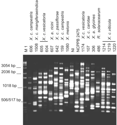 FIG. 2 - Genomic fingerprints of Xanthomonas spp. from various host species  and four strains of X.