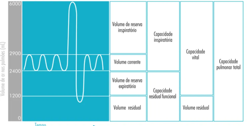 Figura 2: Volumes e capacidades pulmonares.